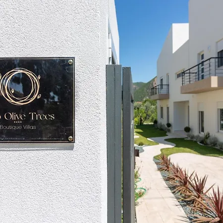 דירה Two Olive Trees פסאתופירגוס