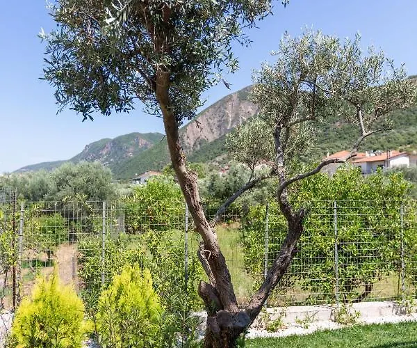 Two Olive Trees Apartment Psathopyrgos